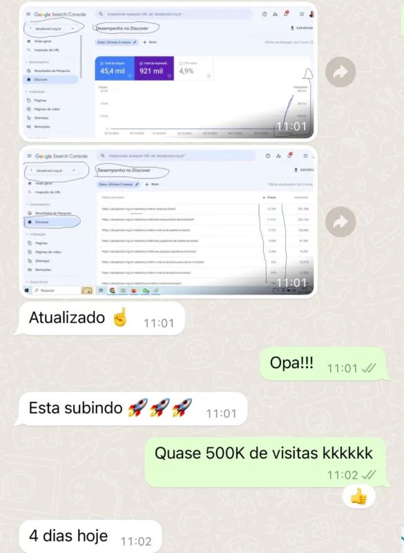 tráfego orgânico com web stories